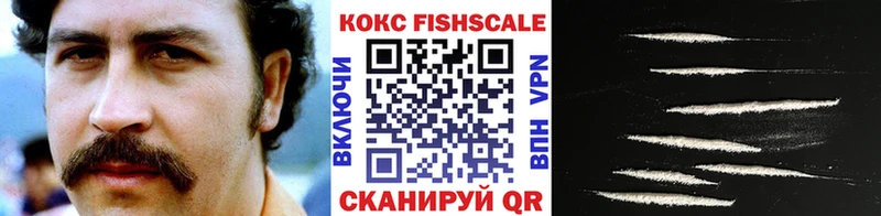 наркошоп  Гаврилов-Ям  Cocaine Fish Scale 