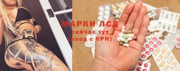 крисы Беломорск