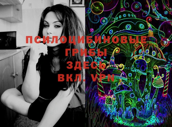 крисы Беломорск